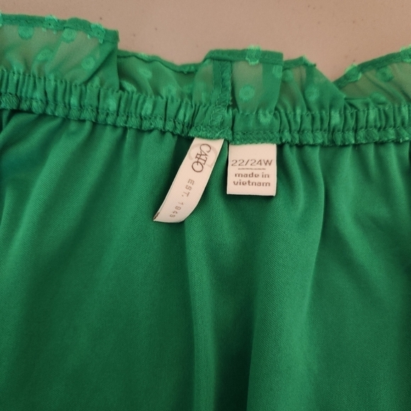 Cato swiss dot Blouse, sz 22/24 kelly green peasant fairy lagenlook oversized - Picture 6 of 10